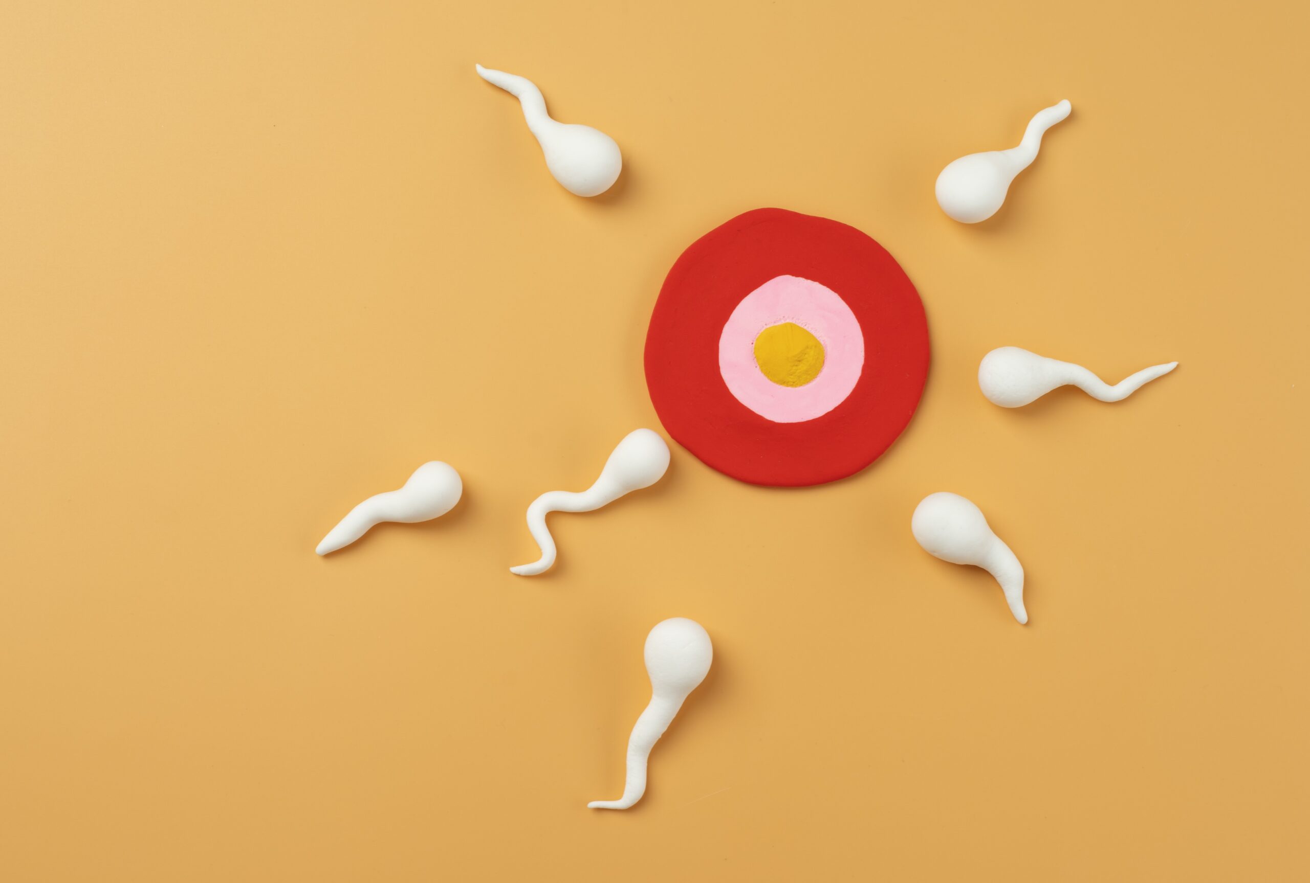 SEVERE LOW SPERM COUNT AND AZOOSPERMIA