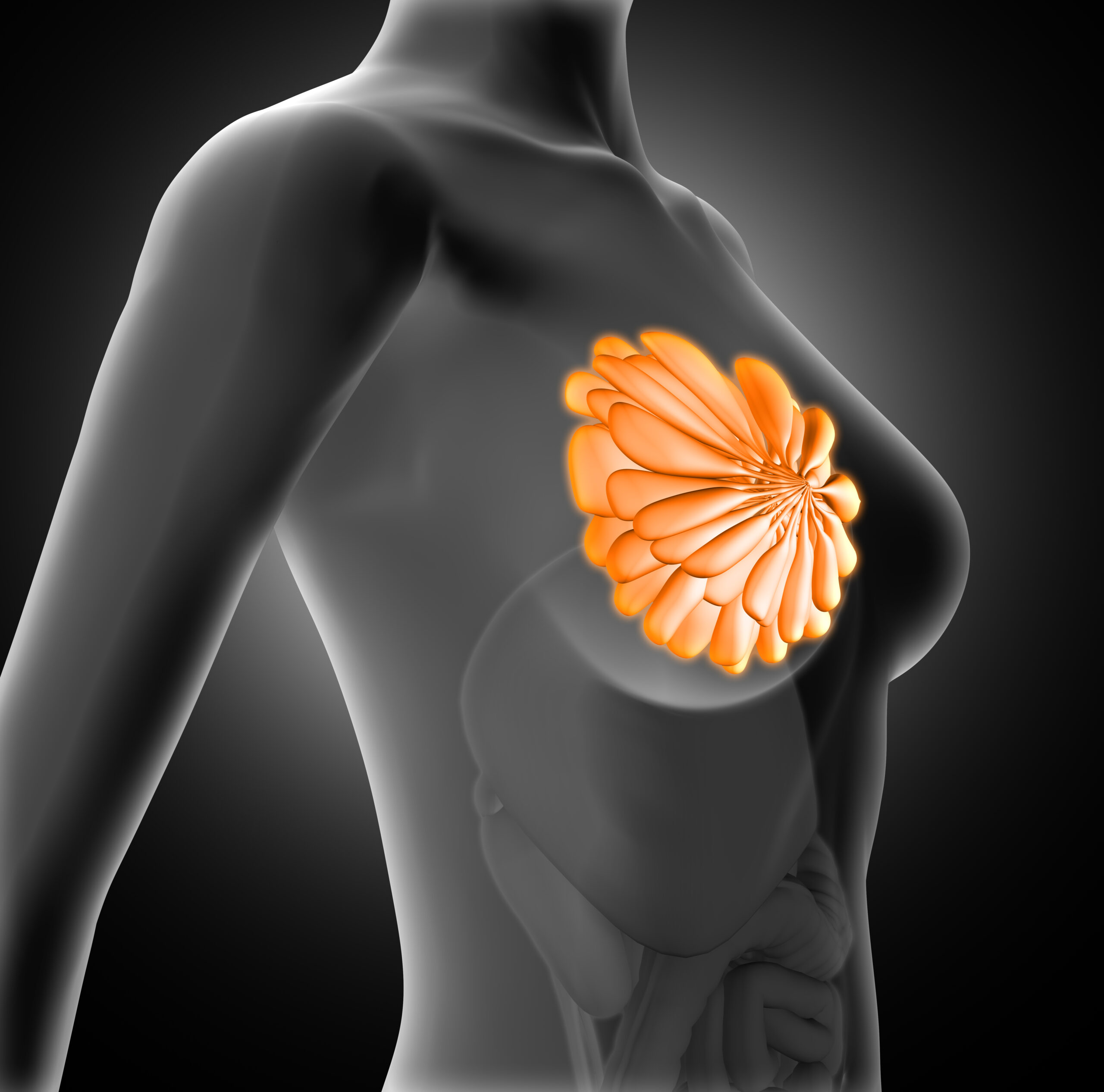 3D render of a female medical figure with breast highlighted
