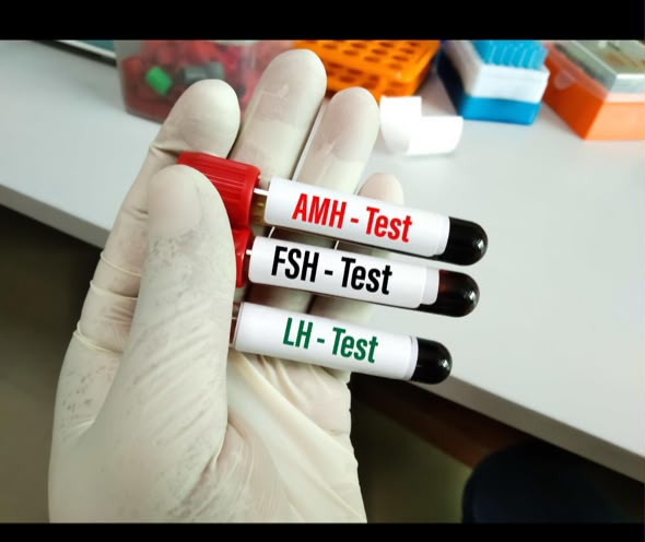 CAN BLOOD SAMPLES BE COLLECTED ON ANY DAY OF THE MENSTRUAL CYCLE FOR HORMONAL TESTS?